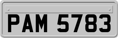 PAM5783