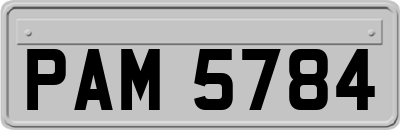 PAM5784