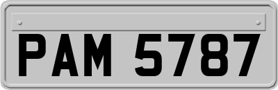 PAM5787