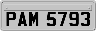 PAM5793