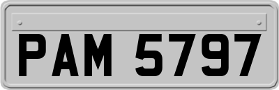 PAM5797