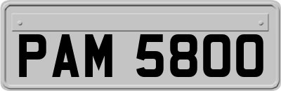 PAM5800