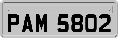 PAM5802