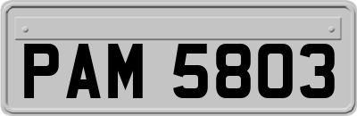 PAM5803