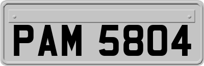 PAM5804