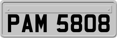 PAM5808