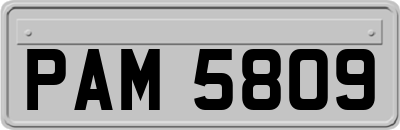 PAM5809