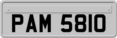 PAM5810