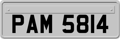 PAM5814
