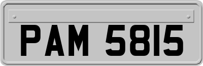 PAM5815