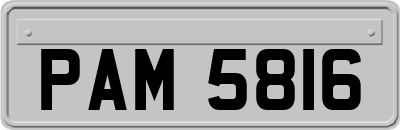 PAM5816