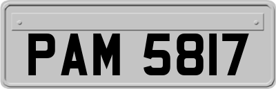 PAM5817