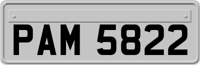 PAM5822