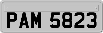 PAM5823