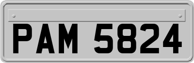 PAM5824