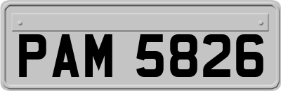 PAM5826