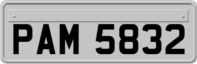 PAM5832