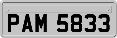 PAM5833