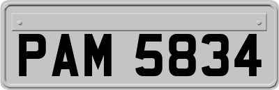 PAM5834