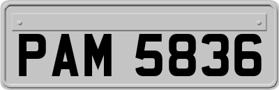 PAM5836