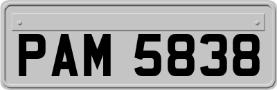 PAM5838