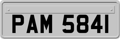 PAM5841