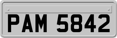 PAM5842