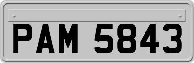 PAM5843