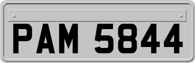 PAM5844