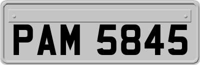 PAM5845