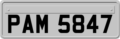 PAM5847