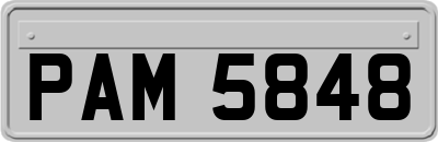PAM5848