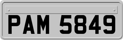 PAM5849