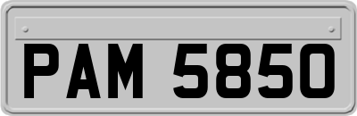 PAM5850