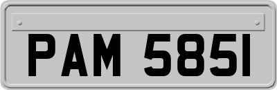 PAM5851