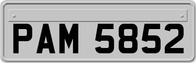 PAM5852