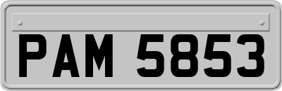 PAM5853
