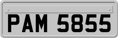 PAM5855
