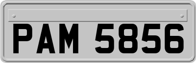PAM5856