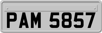 PAM5857
