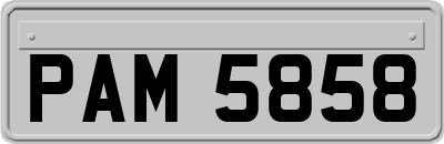 PAM5858