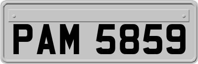 PAM5859
