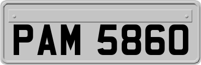 PAM5860