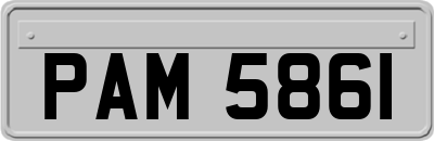 PAM5861
