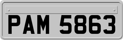 PAM5863