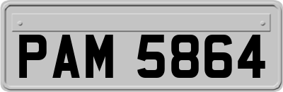 PAM5864