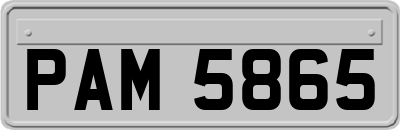PAM5865