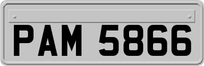 PAM5866