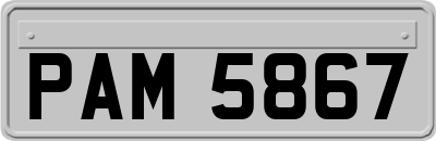 PAM5867