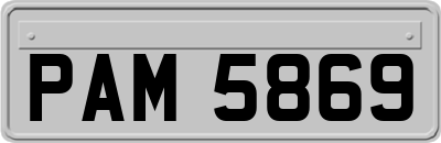 PAM5869